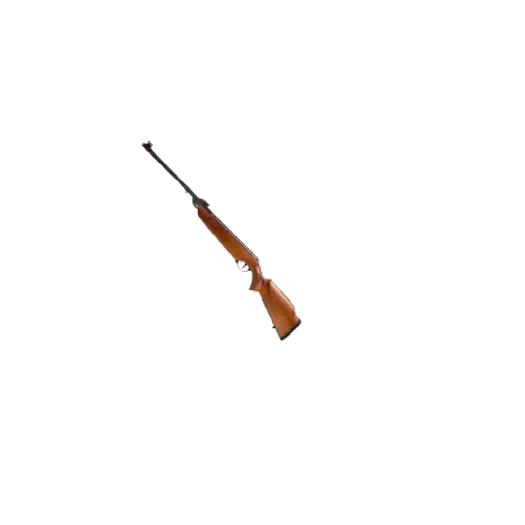 RIFLE ROSSI DIONE SPORT MH MADERA CALIBRE 5.5MM 1