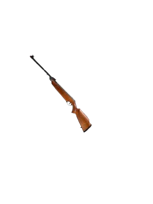 RIFLE ROSSI DIONE SPORT MH MADERA CALIBRE 5.5MM