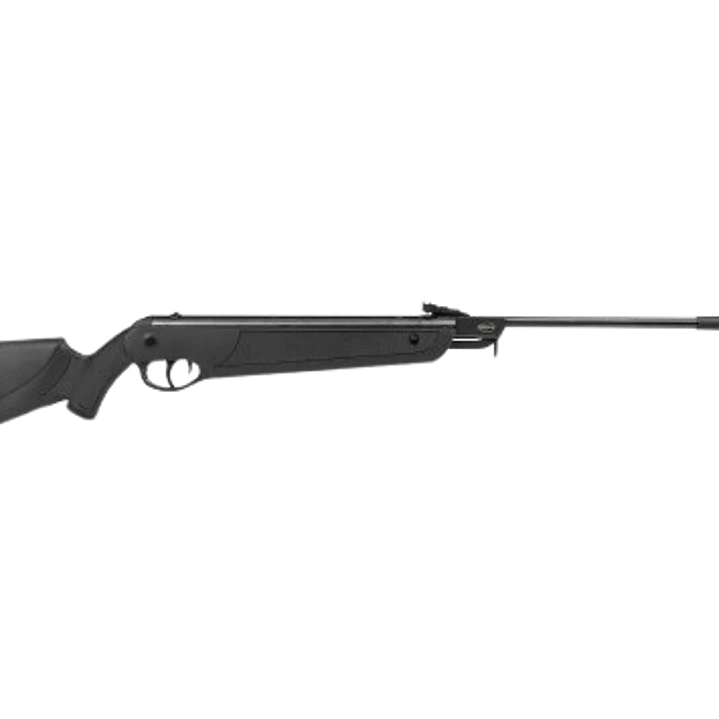 RIFLE ROSSI DIONE 5G NITRO CALIBRE 4.5MM 1