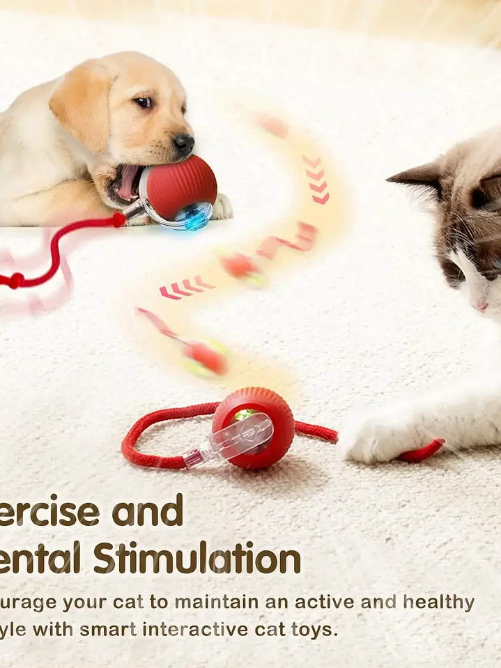 Juguete interactivo inteligente gatos y perros  4
