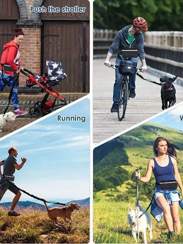 Correa riñonera elástica anti tirones. Saca tu perro a correr o pasear y lleva tus pertenencias teniendo las manos libres 3