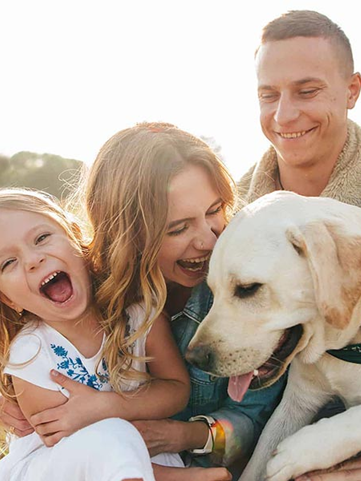 Anti ladridos ultrasónico , tus vecinos ya no se quejaran de tu perro, gracias al ultrasonido que los callan    3