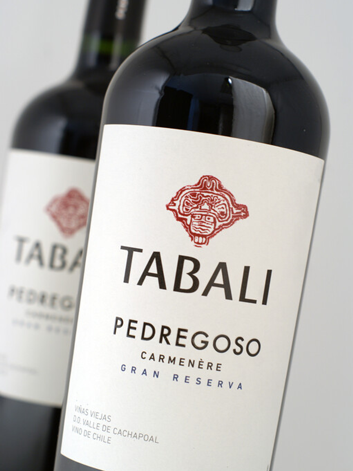 Pedregoso Carmenere 2024 - Cachapoal 2