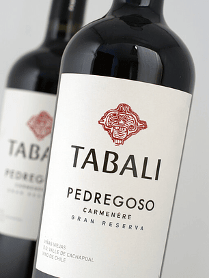 Pedregoso Carmenere 2024 - Cachapoal