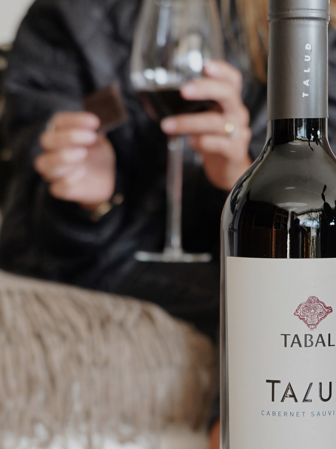 Talud Cabernet Sauvignon 2022 - Maipo 2