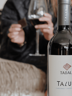 Talud Cabernet Sauvignon 2022 - Maipo