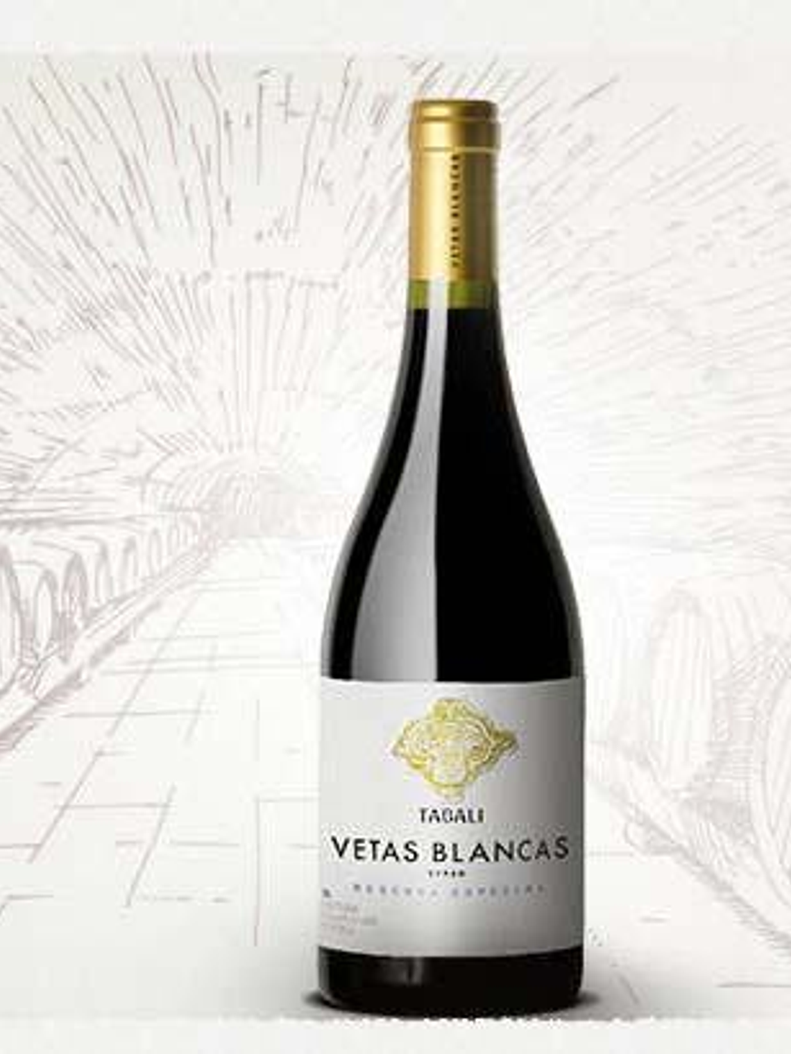 Vetas Blancas Syrah 2022 - Limarí 2