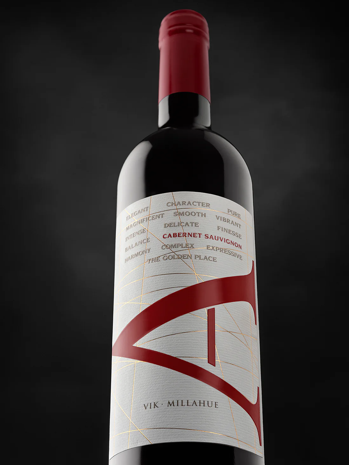 Vik A Cabernet Sauvignon 2020 - Cachapoal 2