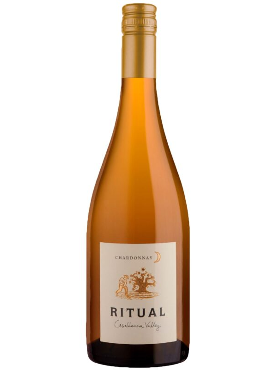 Ritual Chardonnay 2023 - Casablanca 1