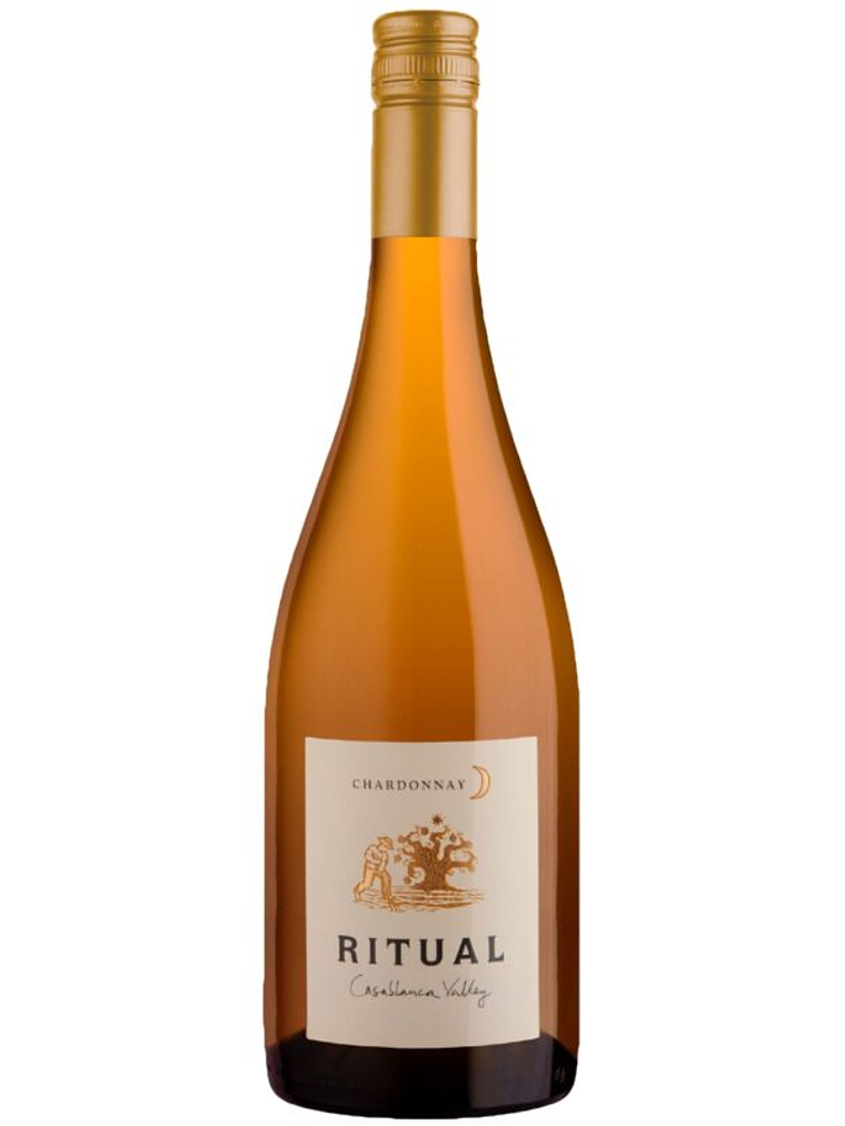 Ritual Chardonnay 2023 - Casablanca 1