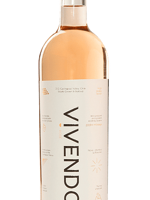 Vivendo Rosé Syrah 2020 - Alto Cachapoal