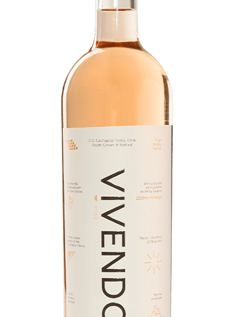 Vivendo Rosé Syrah 2020 - Alto Cachapoal 2