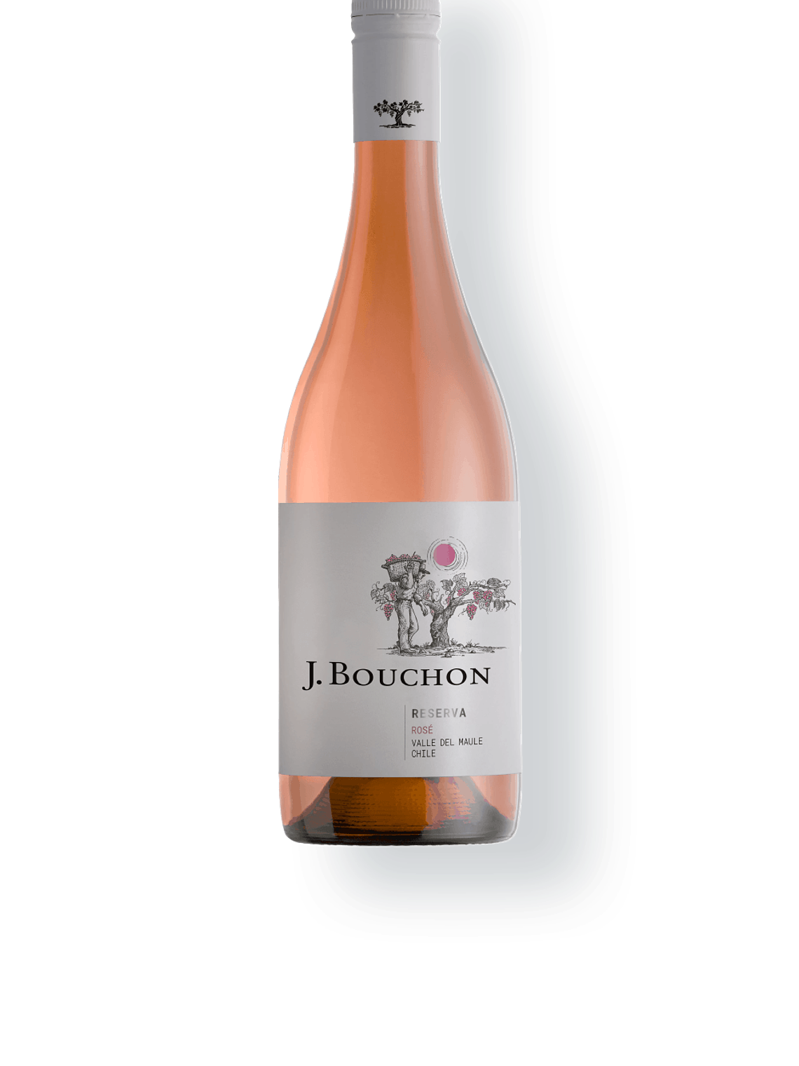 J. Bouchon Reserva Rosé País 2023 - Maule 1