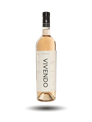 Vivendo Rosé Syrah 2020 - Alto Cachapoal