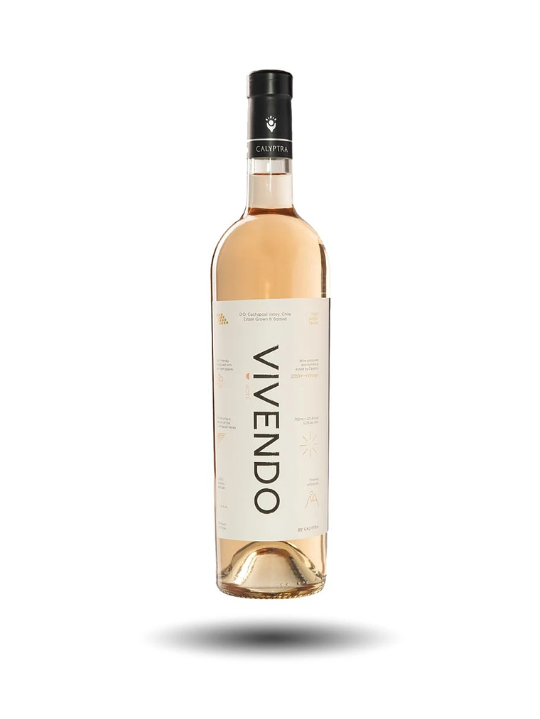 Vivendo Rosé Syrah 2020 - Alto Cachapoal 1