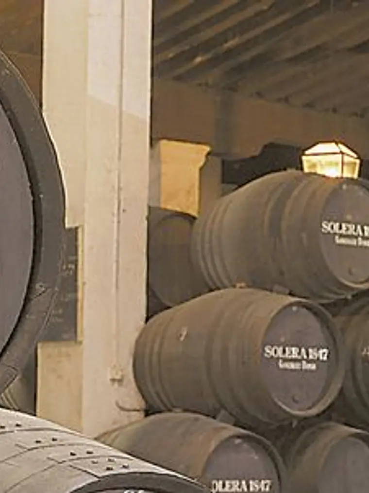 Tio Pepe Palomino Fino - Jerez de la Frontera 3