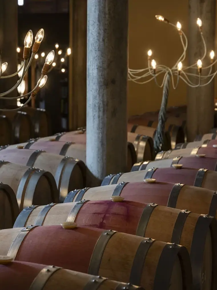 Blecua 2011 - Somontano 2