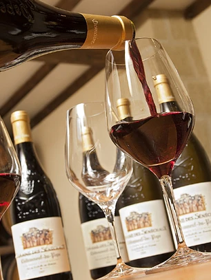 Domaine Des Senechaux 2021 - Châteauneuf Du Pape