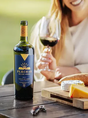 Flechas de los Andes Gran Malbec 2017 - Mendoza