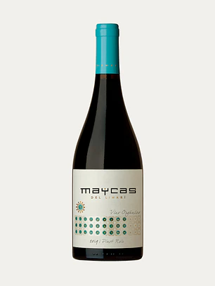 Maycas del Limari Reserva Especial Pinot Noir 2018 - Limarí
