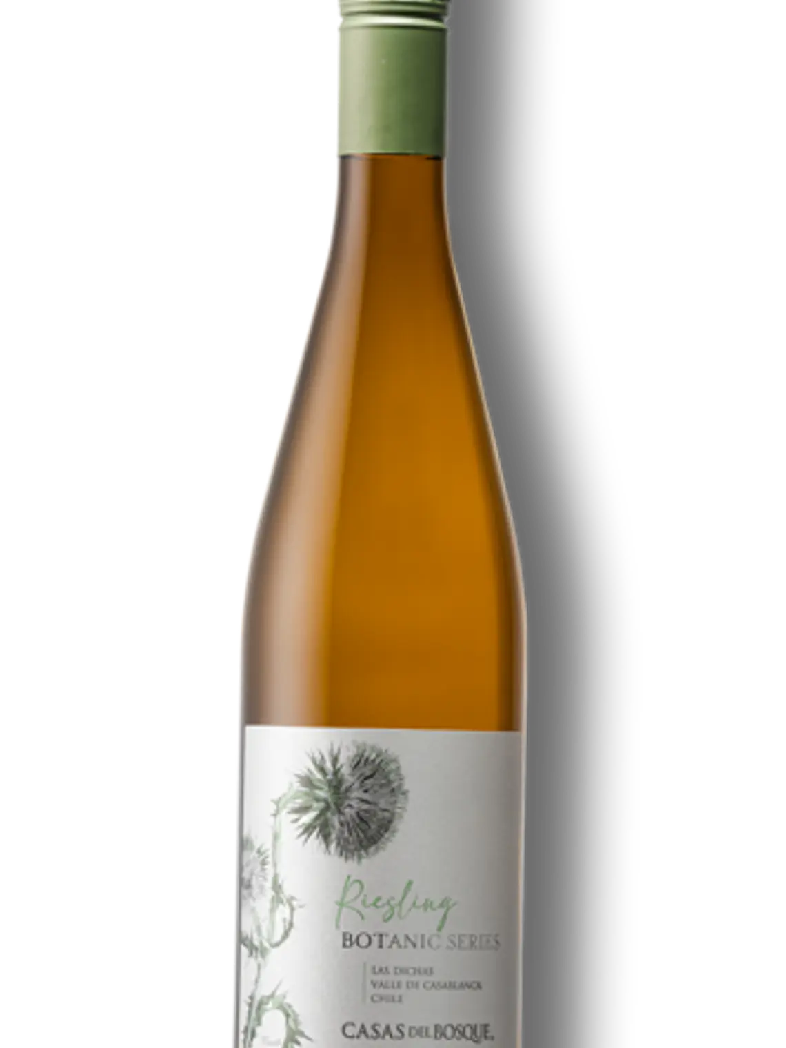 Casas del Bosque Botanic Series Riesling 2025 - Casablanca 1