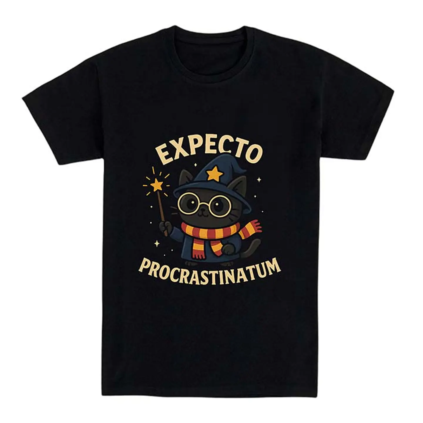 Camiseta graciosa - Expecto Procrastinatum 1