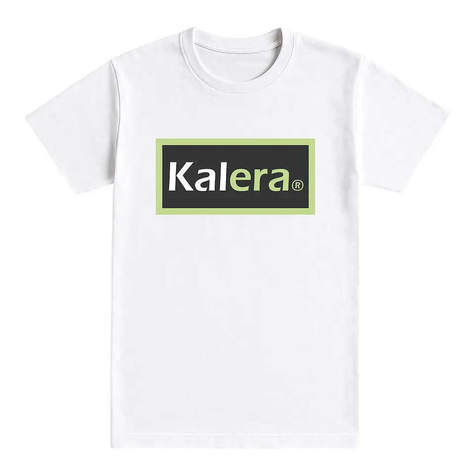 Camiseta básica 1
