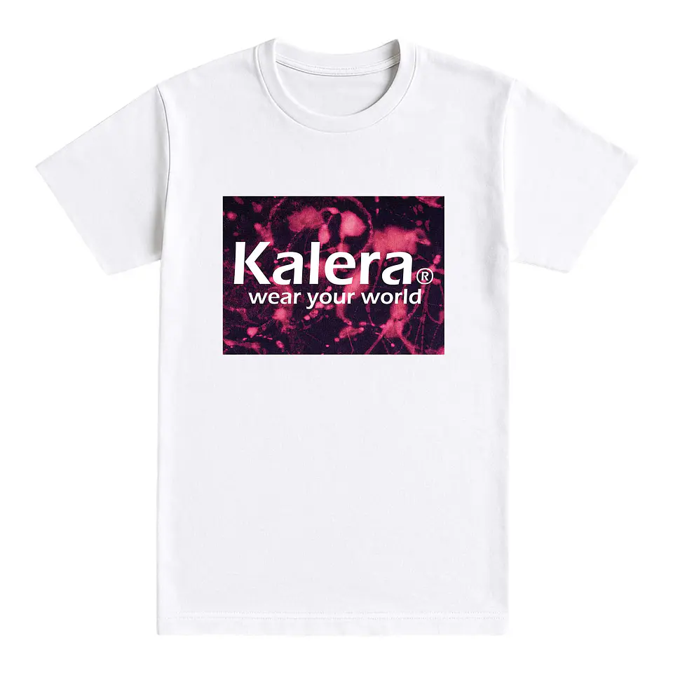 Camiseta básica 1