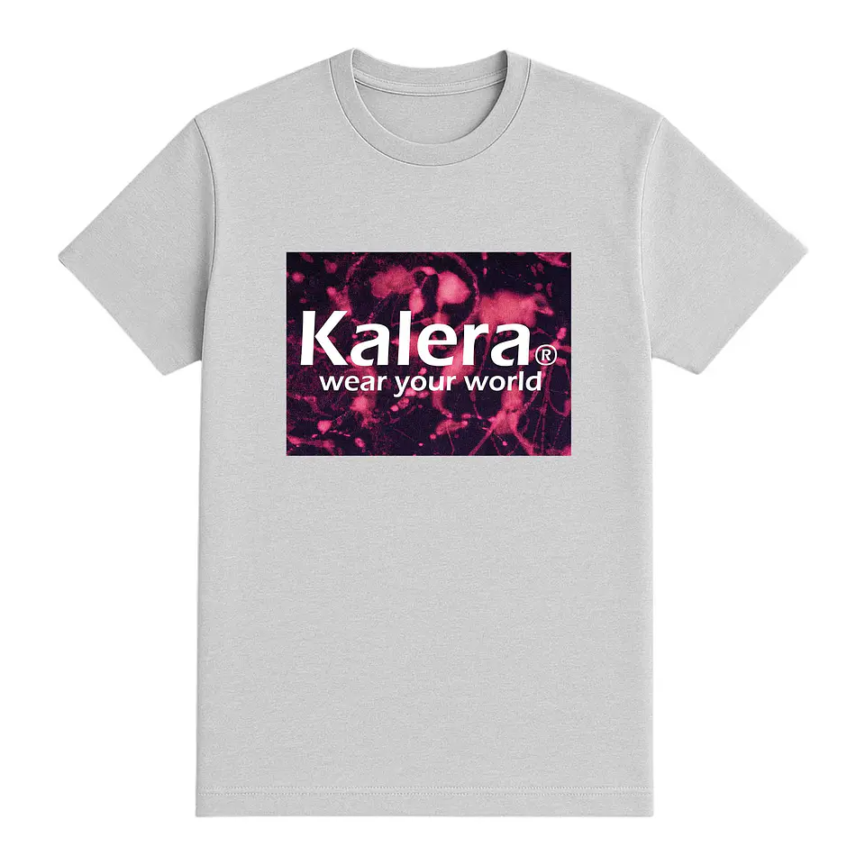Camiseta básica 1
