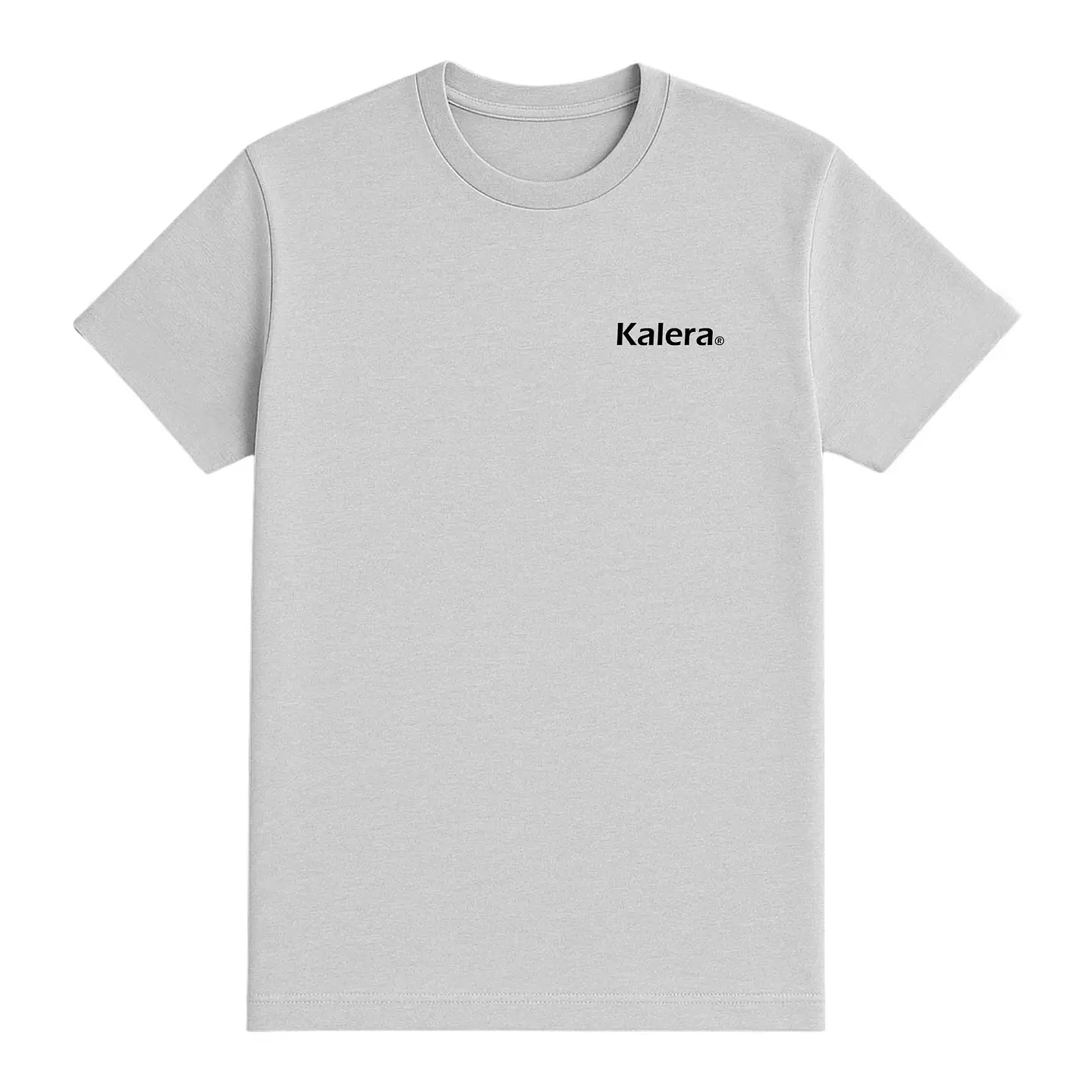 Camiseta básica lisa gris 1