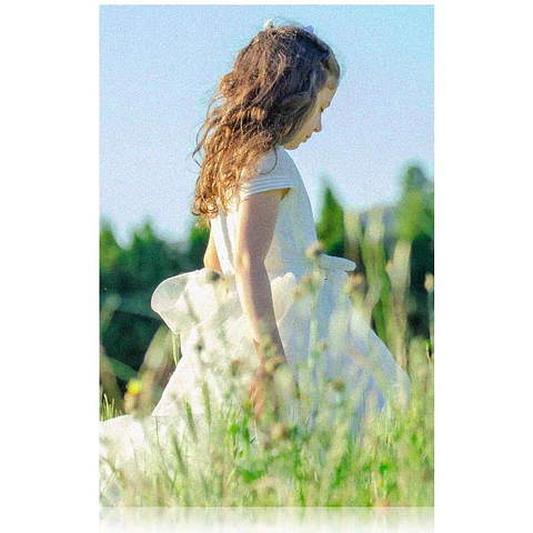 Foto en aluminio 60x90CM