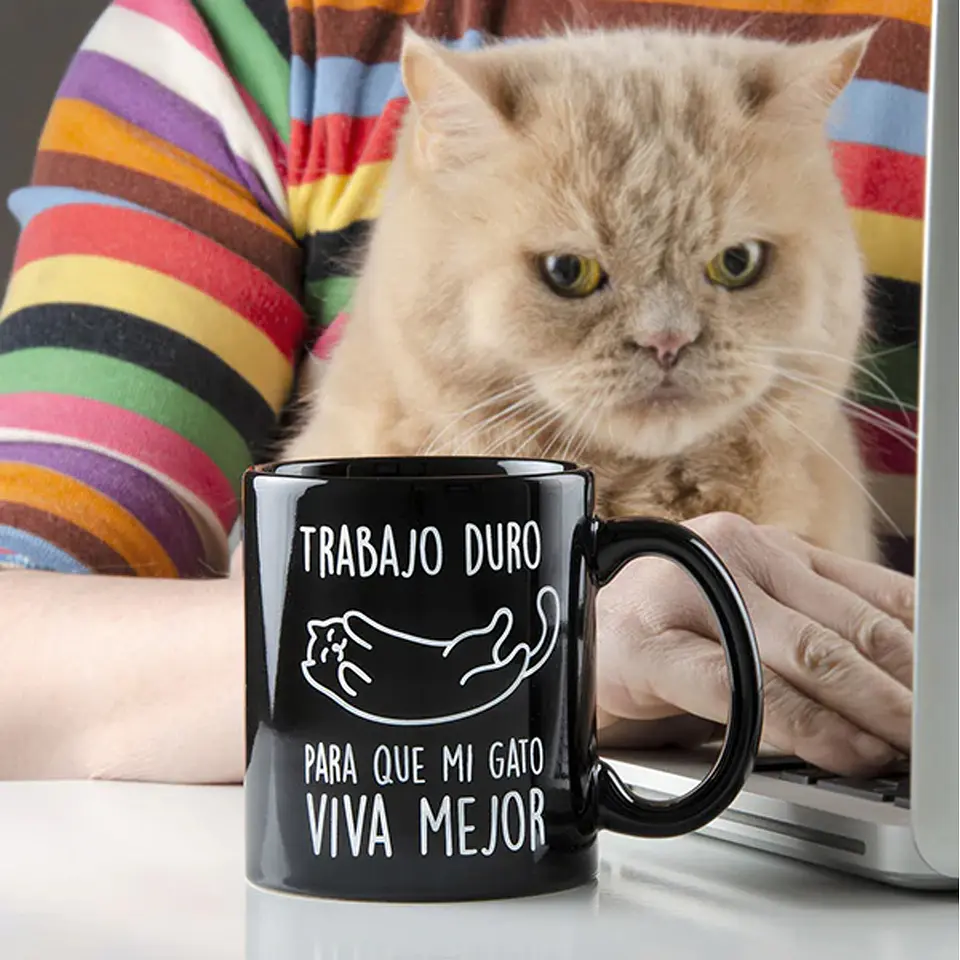 Tazon Trabajo Duro Para mi gato Viva Mejor 2