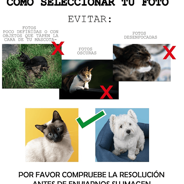 Calcetines Personalizados con la Foto de tu Mascota – ¡Regalo Perfecto! 11