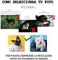 Calcetines Personalizados con la Foto de tu Mascota – ¡Regalo Perfecto! - Miniatura 11