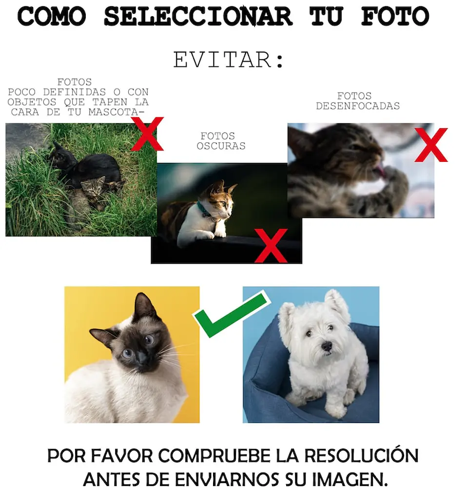 Calcetines Personalizados con la Foto de tu Mascota – ¡Regalo Perfecto! 11