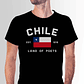Polera Chile Land of Poets 🇨🇱 | Fiestas Patrias Ropa Chilena - Miniatura 2