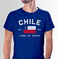 Polera Chile Land of Poets 🇨🇱 | Fiestas Patrias Ropa Chilena - Miniatura 3