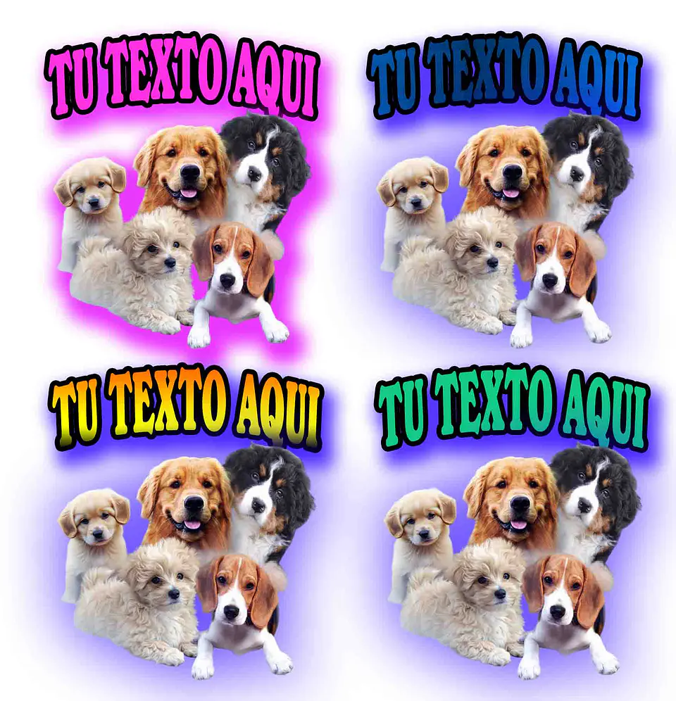 Polera Personalizada con Fotos de Mascotas y Texto | Camiseta Unica 4