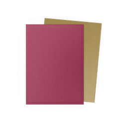 DRAGON SHIELD - SLEEVES STANDARD SIZE MATTE DUAL (100) - POMEGRANATE - GOLD