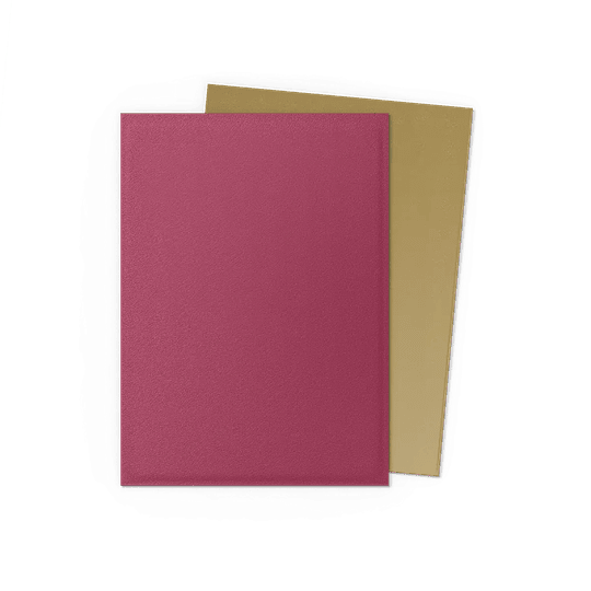 DRAGON SHIELD - SLEEVES STANDARD SIZE MATTE DUAL (100) - POMEGRANATE - GOLD