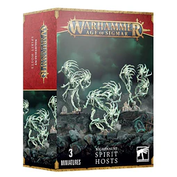 NIGHTHAUNT: SPIRIT HOSTS