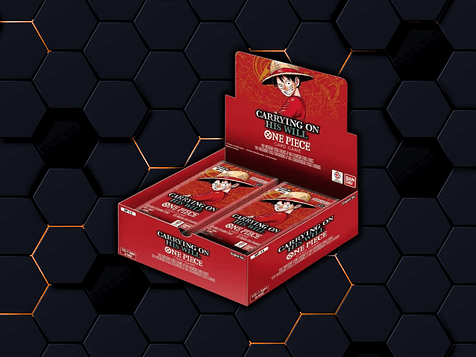 Carrying on his will | OP13  🏴󠁧󠁢󠁥󠁮󠁧󠁿 1