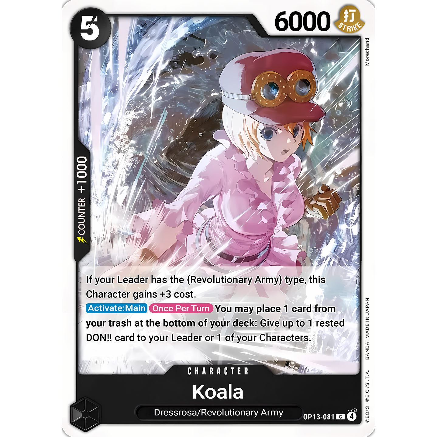 Koala (OP13-081)