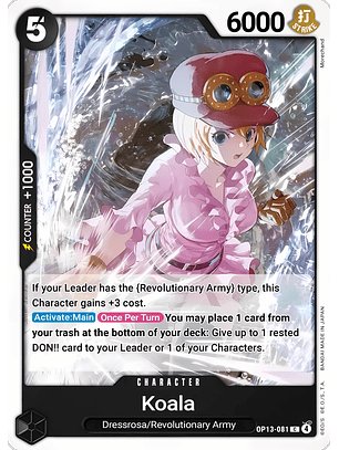 Koala (OP13-081)