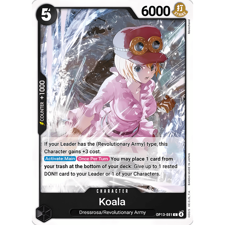 Koala (OP13-081)
