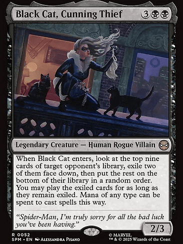 Black Cat, Cunning Thief | SP | FOIL 1