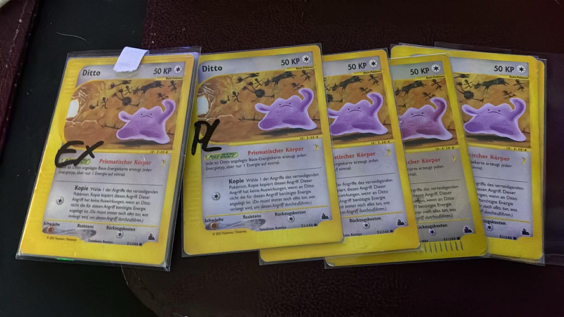 Ditto SKYRIDGE 51 aleman 2