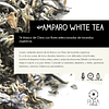 Amparo White Tea