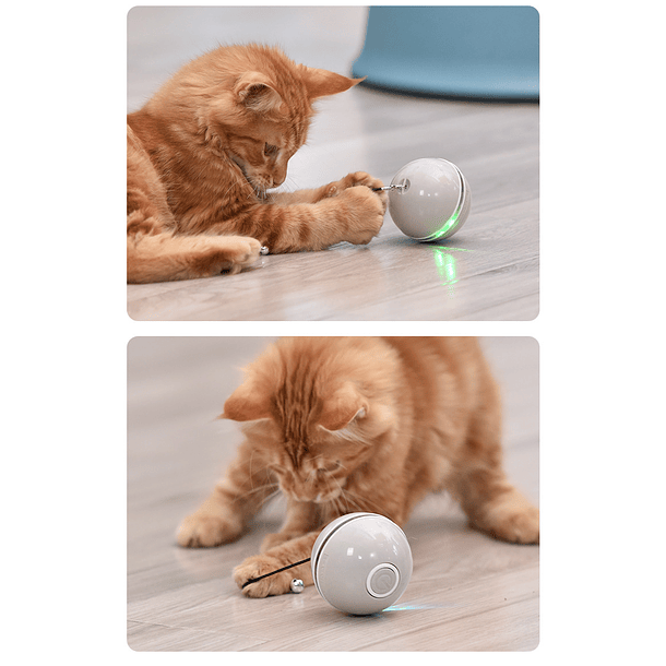 Cat Smart ball. 2