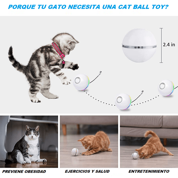 Cat Smart ball. 3